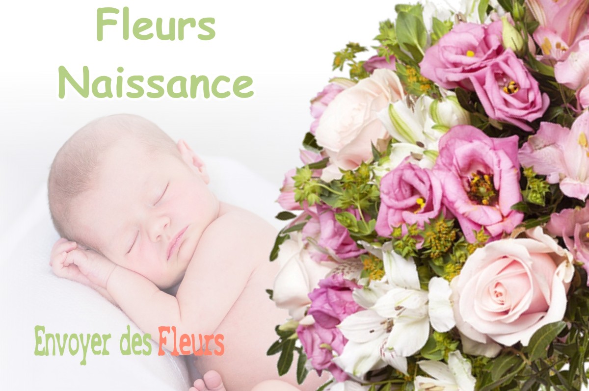 lIVRAISON FLEURS NAISSANCE à DOVILLE